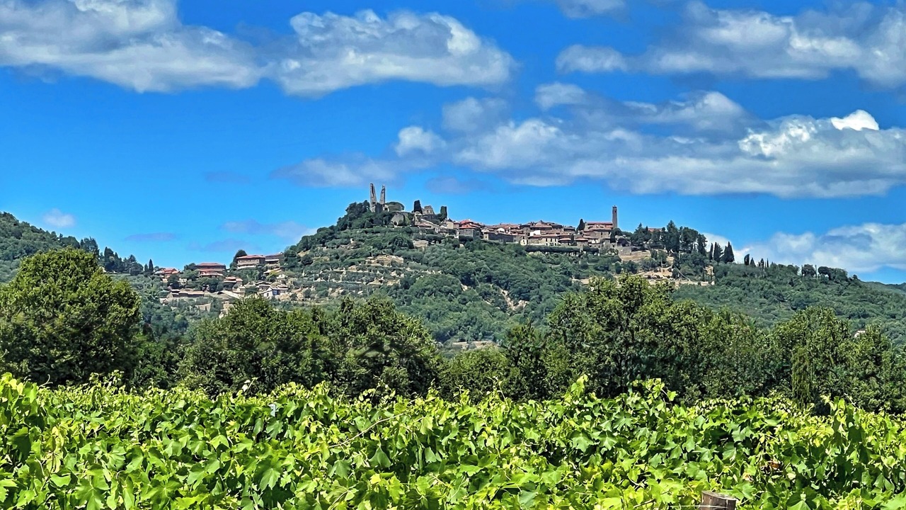 Photo of Others in Civitella in Val di Chiana