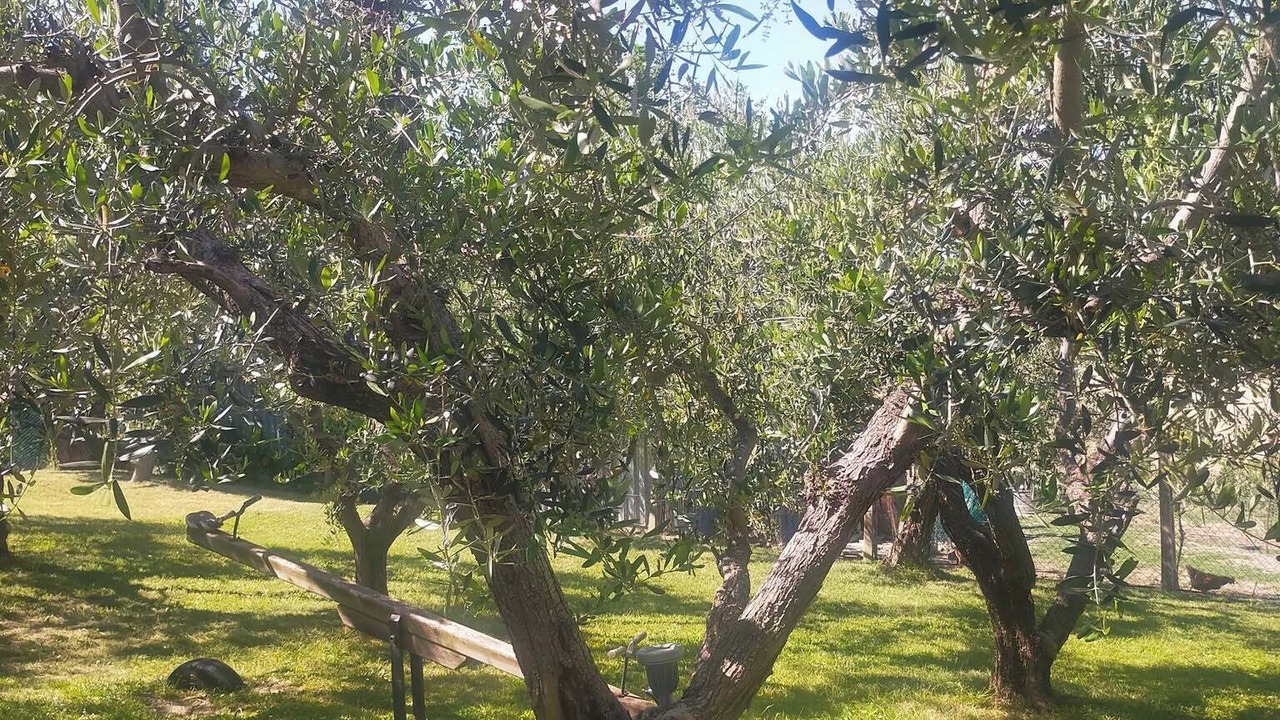 Photo of Outdoor in Appignano