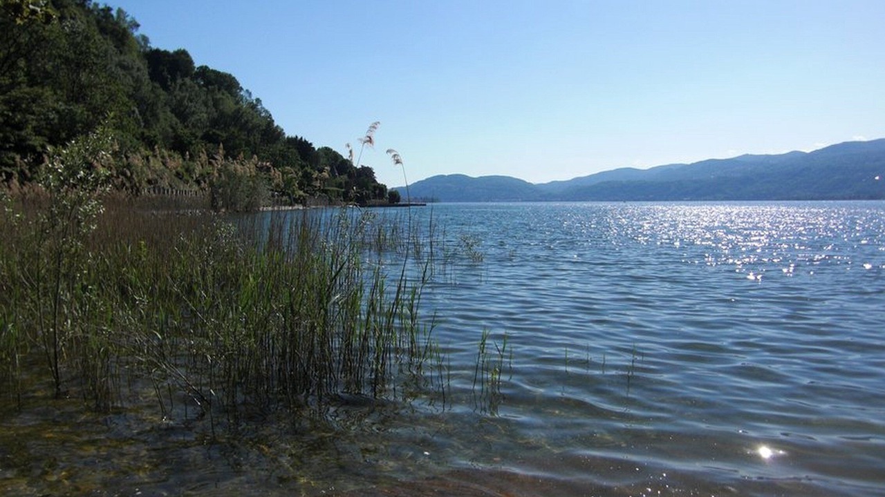Photo of Outdoor in Ispra