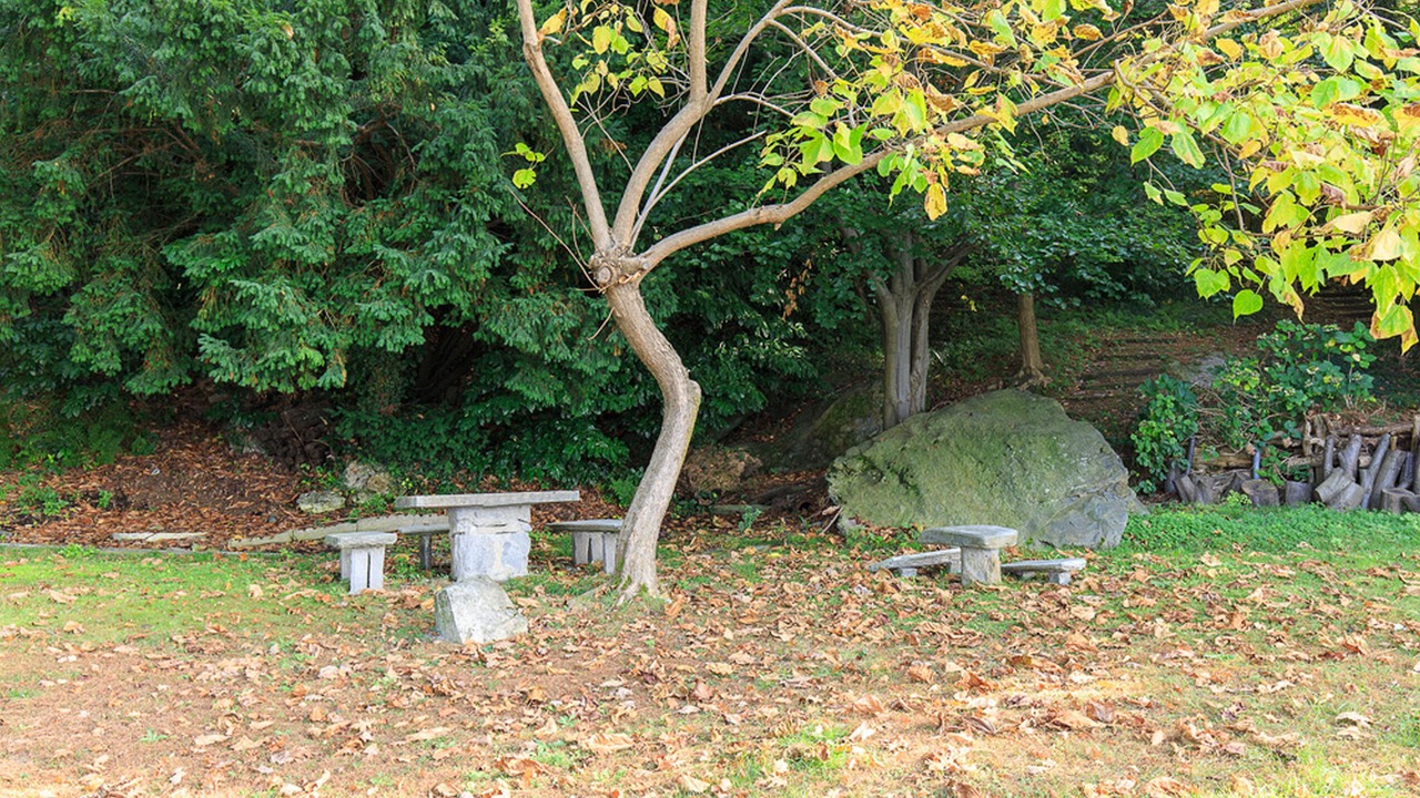 Photo of Outdoor in Ispra