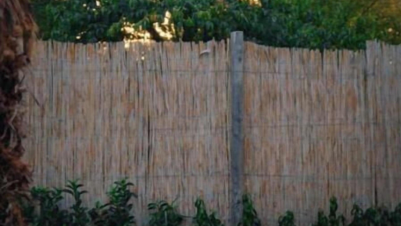 Photo of Outdoor in Yanik