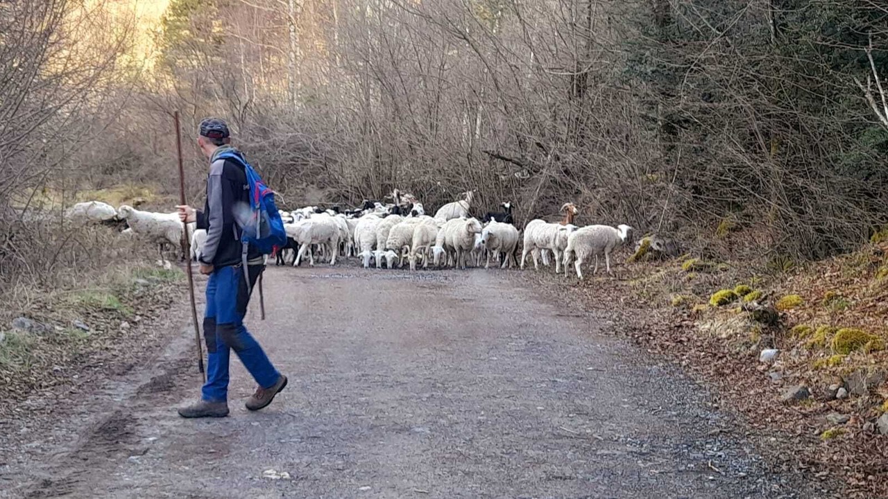 Photo of Others in Sils
