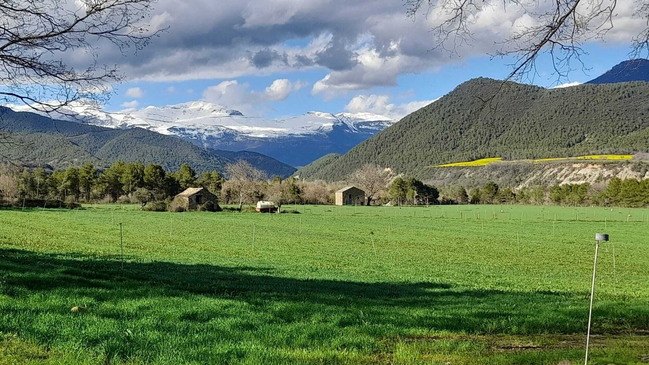 Photo of Others in Sils