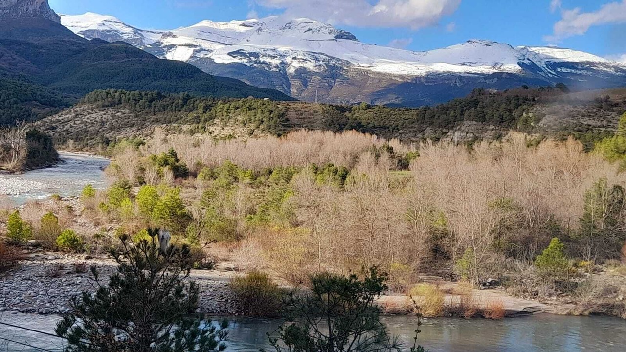Photo of Others in Sils