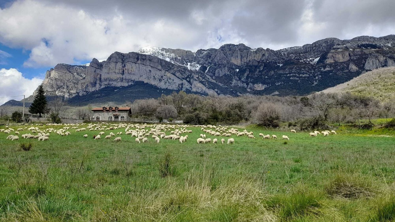 Photo of Others in Sils