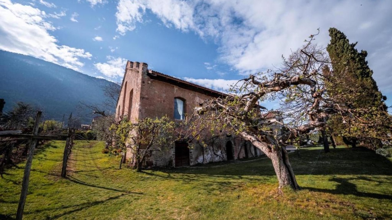 Photo of Outdoor in Berg/Monte