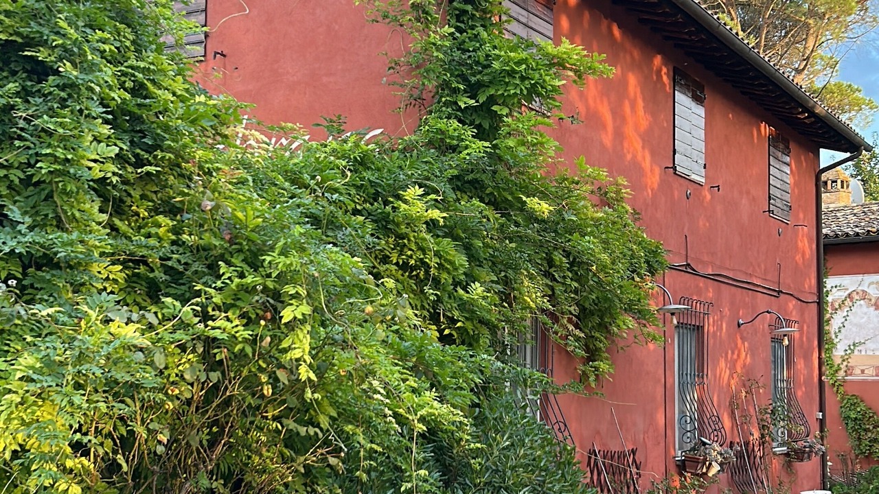 Photo of Outdoor in Collevalenza