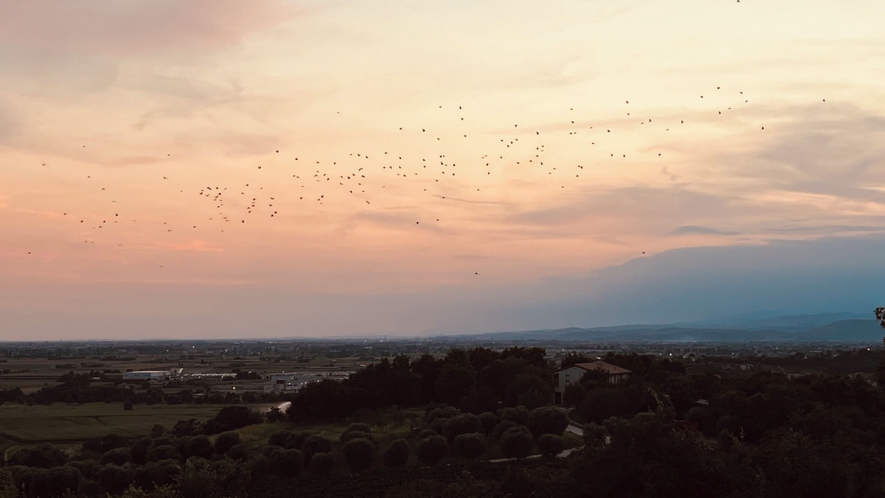 Photo of Others in Orgiano