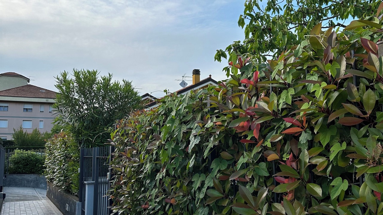 Photo of Outdoor in Villanova d'Albenga