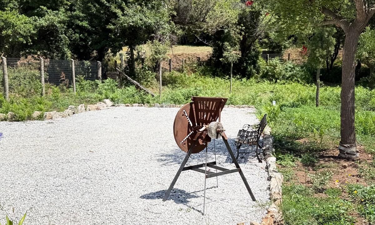Photo of Outdoor in San Giovanni a Piro