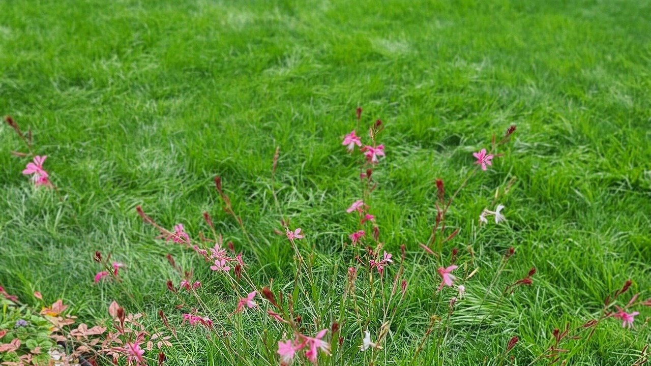 Photo of Outdoor in Nar