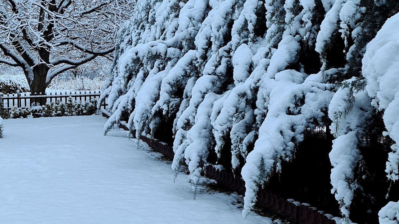 Photo of Outdoor in Nar