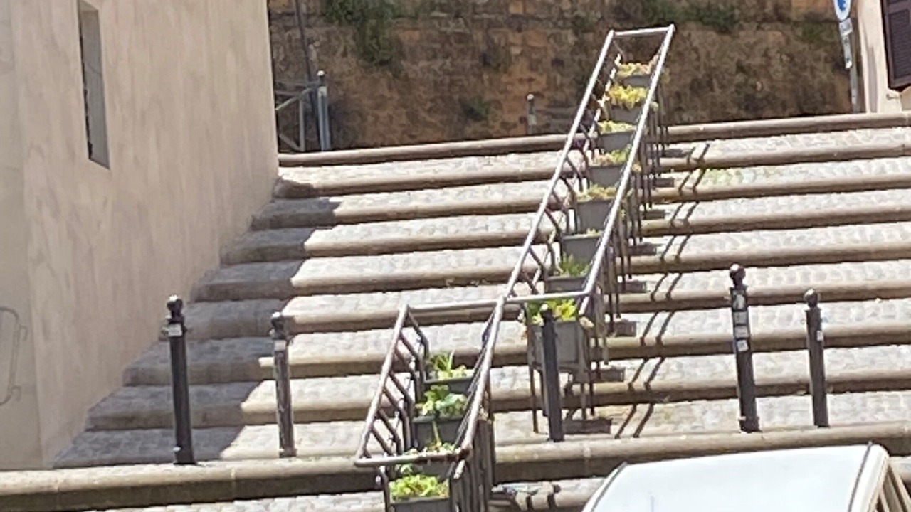 Photo of Others in Frascati