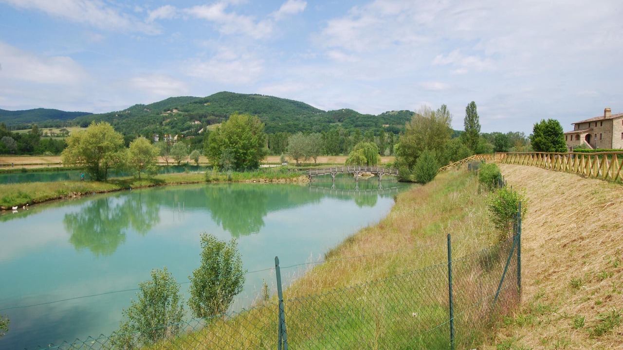 Photo of Others in Montone