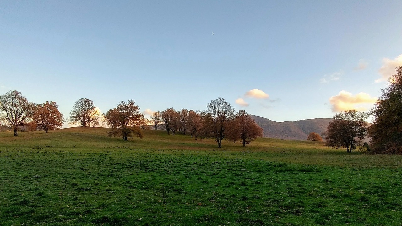 Photo of Others in Rocca Priora