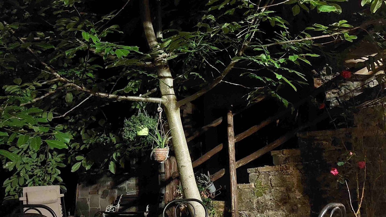 Photo of Outdoor in Rocca Priora