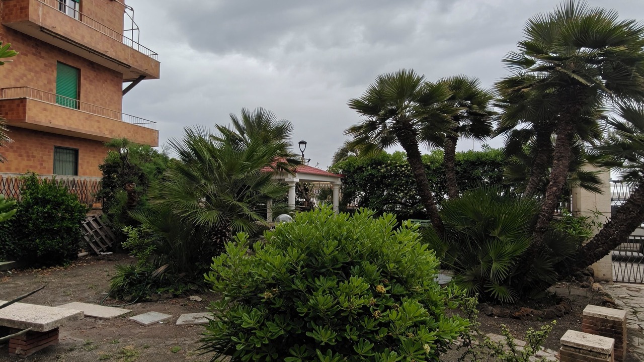 Photo of Outdoor in Ladispoli