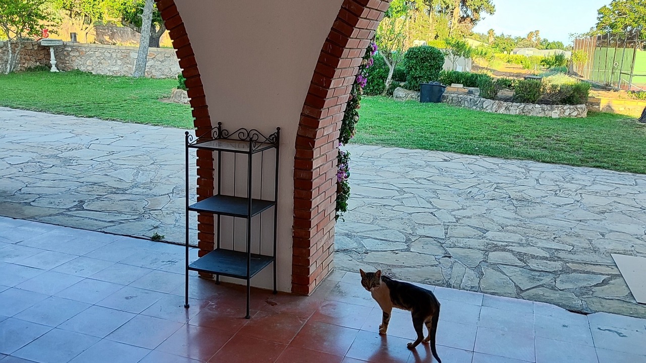 Photo of Outdoor in Alcanar