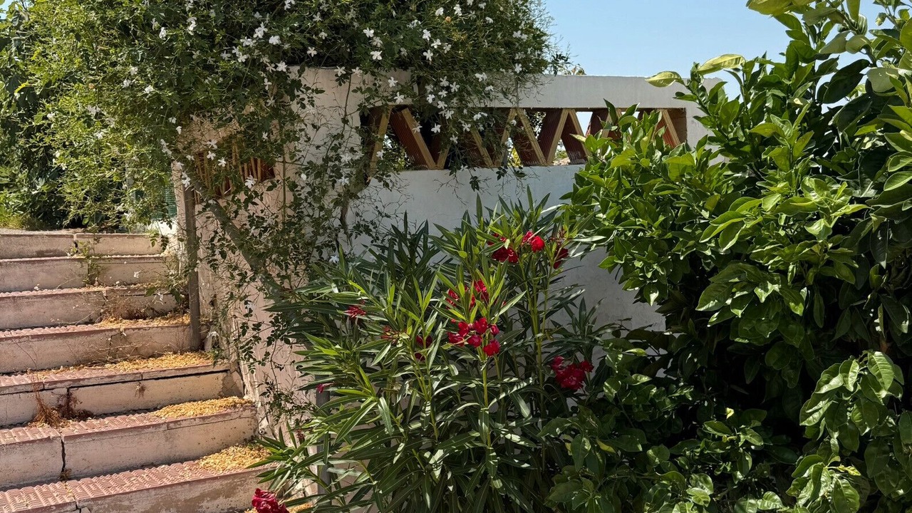 Photo of Outdoor in Guardamar del Segura