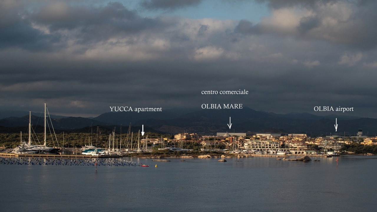 Photo of Others in Olbia