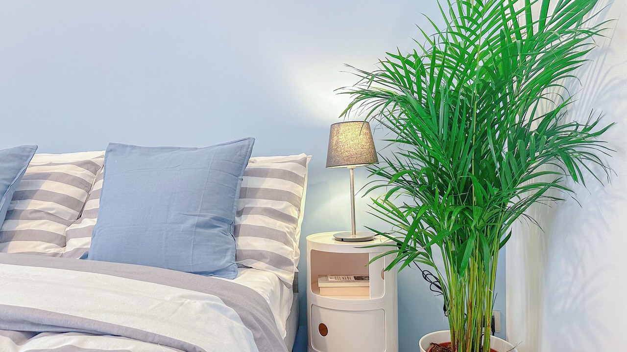 Photo of Bedroom in Calvairate