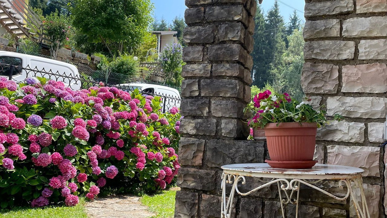 Photo of Outdoor in Ferrara di Monte Baldo