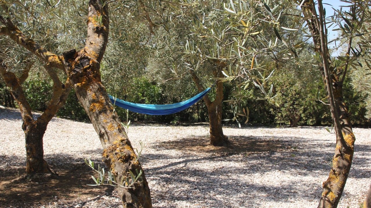 Photo of Outdoor in Almogia