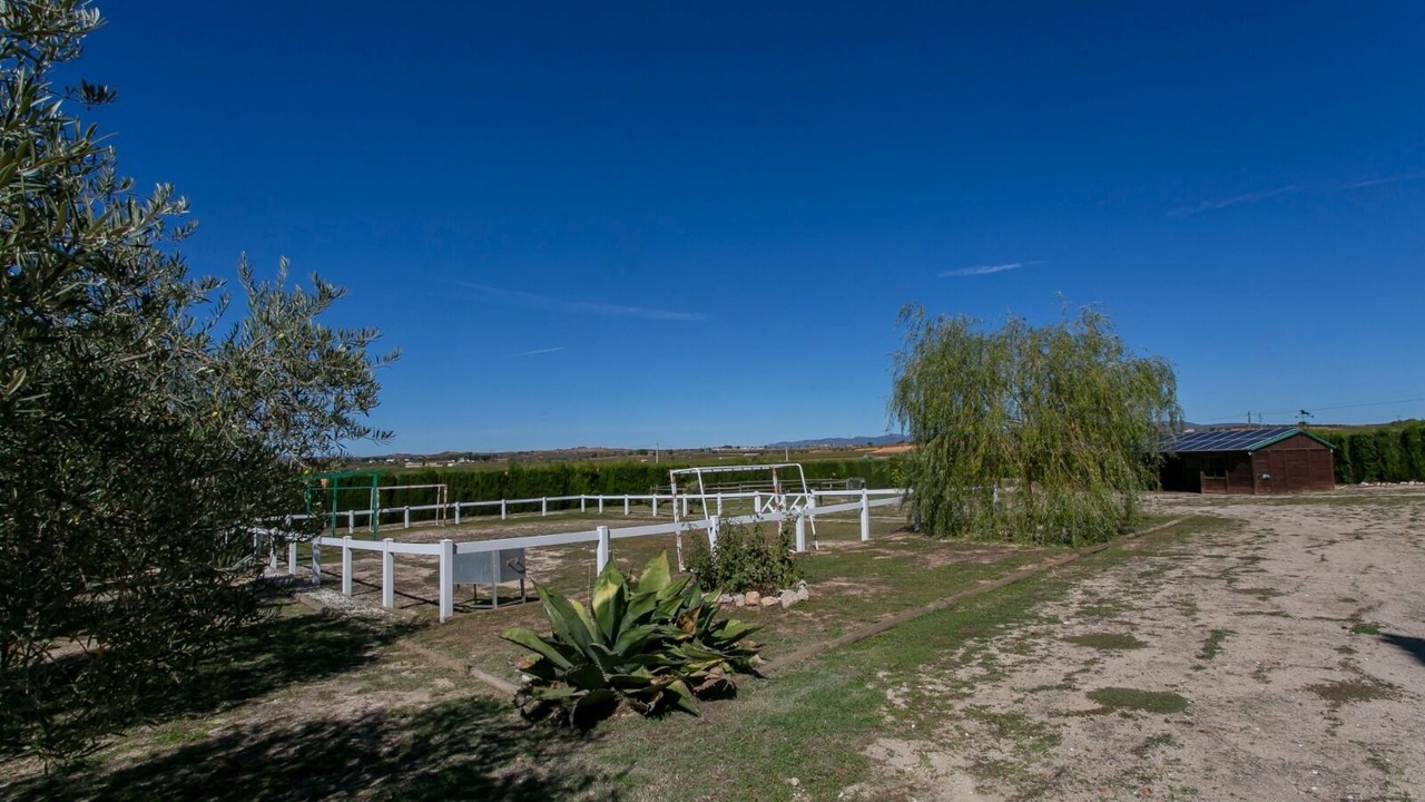 Photo of Outdoor in Requena