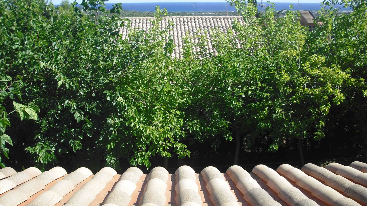 Photo of Outdoor in Roda de Bara