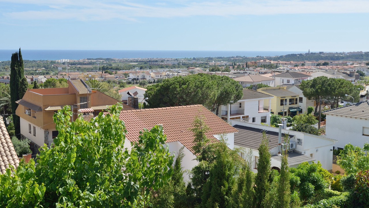 Photo of Others in Roda de Bara