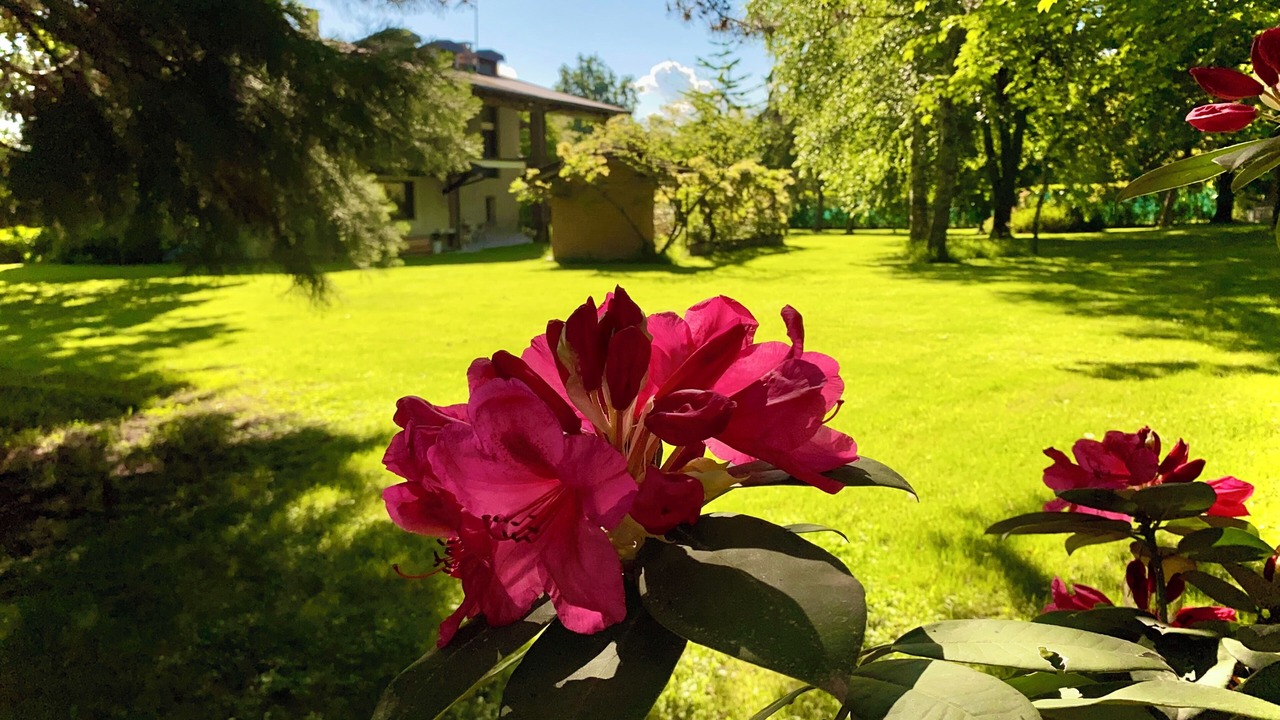 Photo of Outdoor in Peveragno