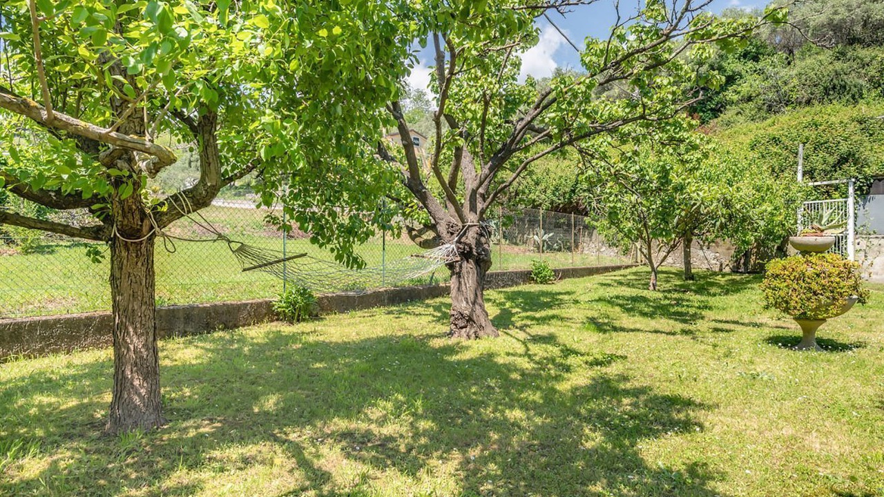 Photo of Outdoor in Arcola