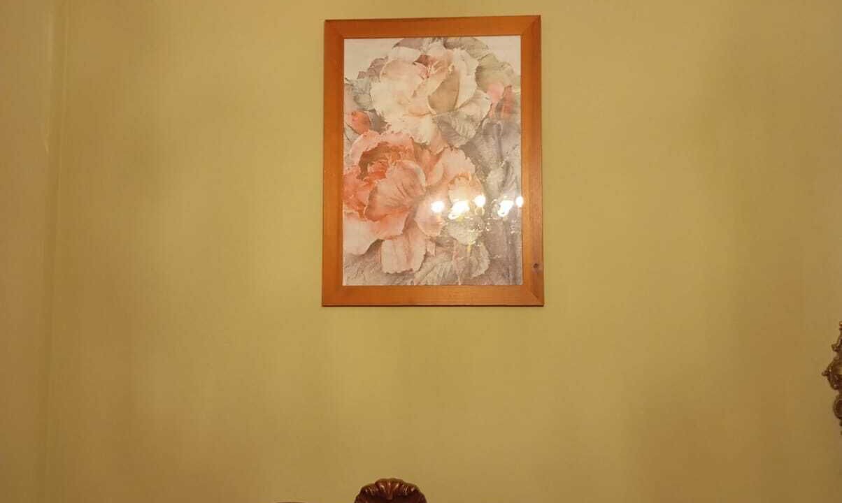 Photo of Bedroom in Mango