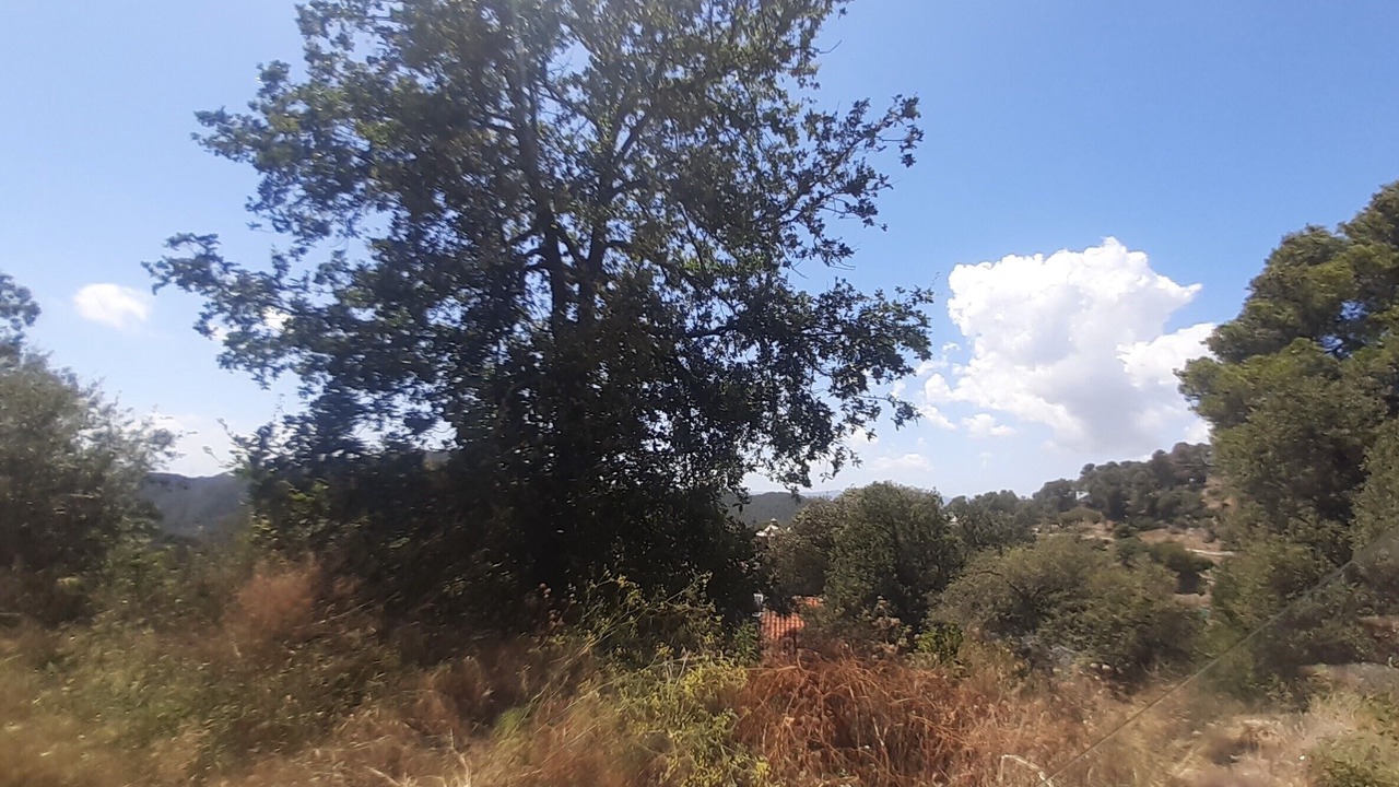 Photo of Others in Sarria-Sant Gervasi