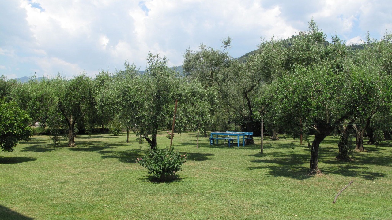 Photo of Others in Capanne-Prato-Cinquale