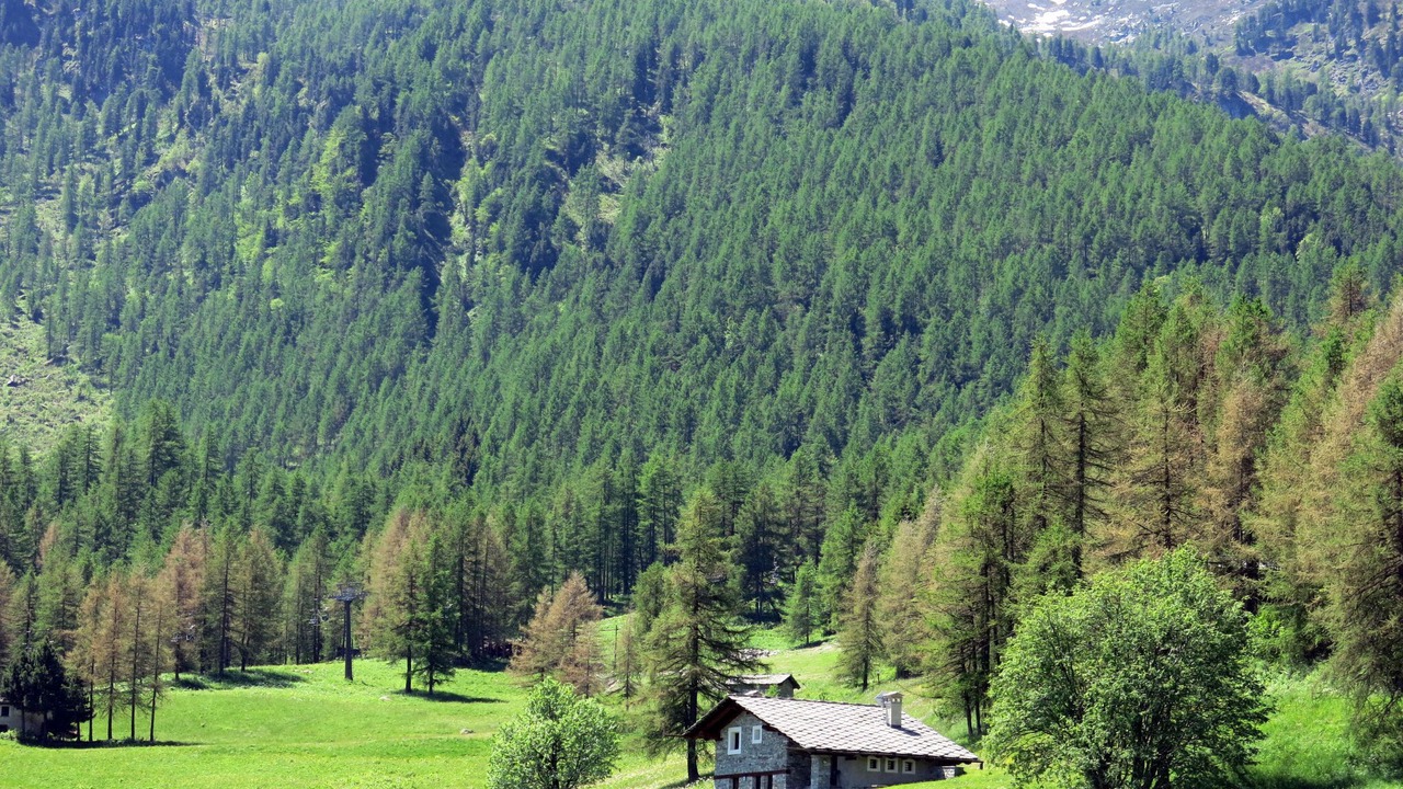 Photo of Others in Sampeyre