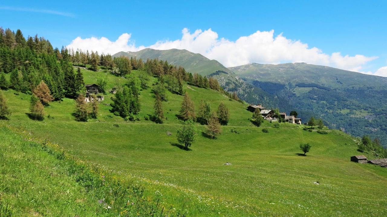 Photo of Others in Sampeyre