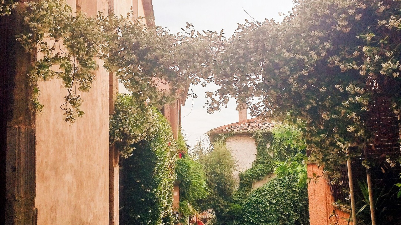 Photo of Outdoor in Formello