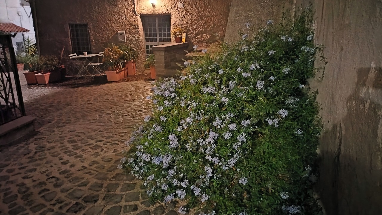 Photo of Patio Balcony in Formello