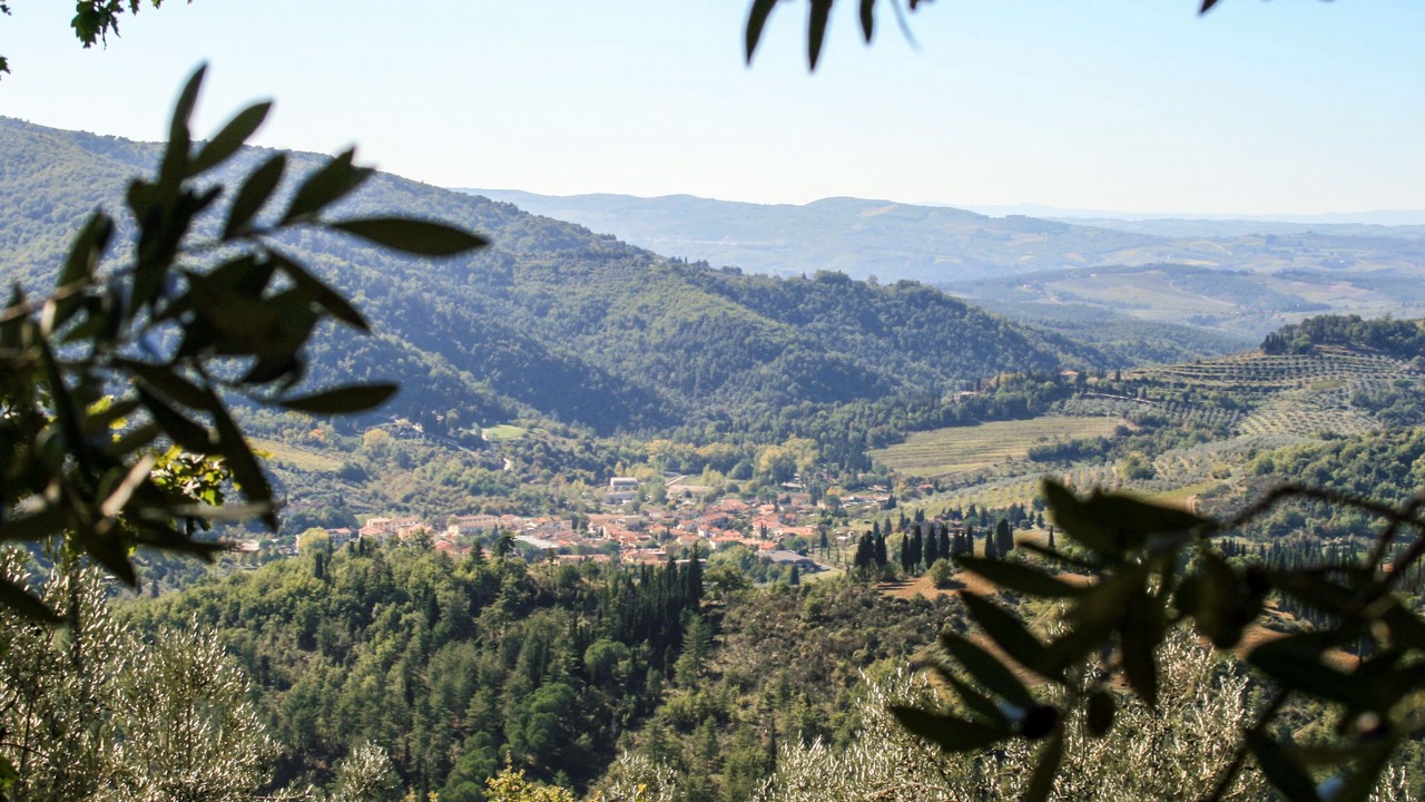 Photo of Others in Greve in Chianti
