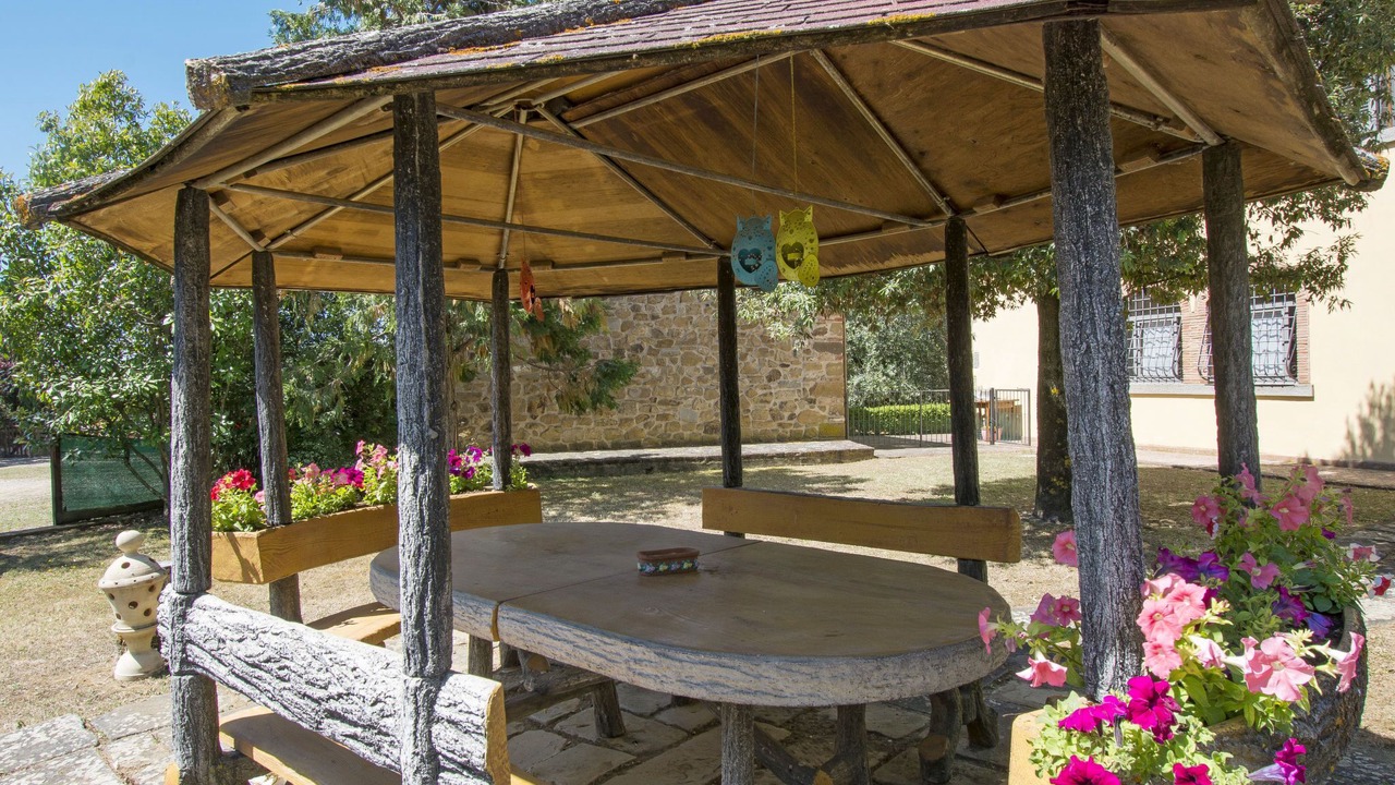 Photo of Outdoor in Oliveto