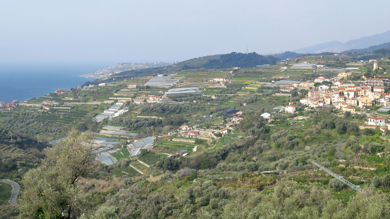 Photo of Others in Terzorio