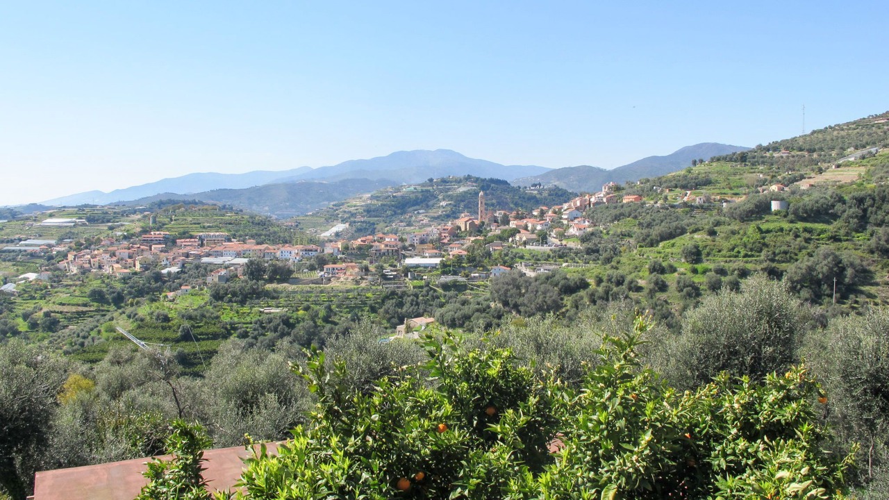 Photo of Others in Terzorio
