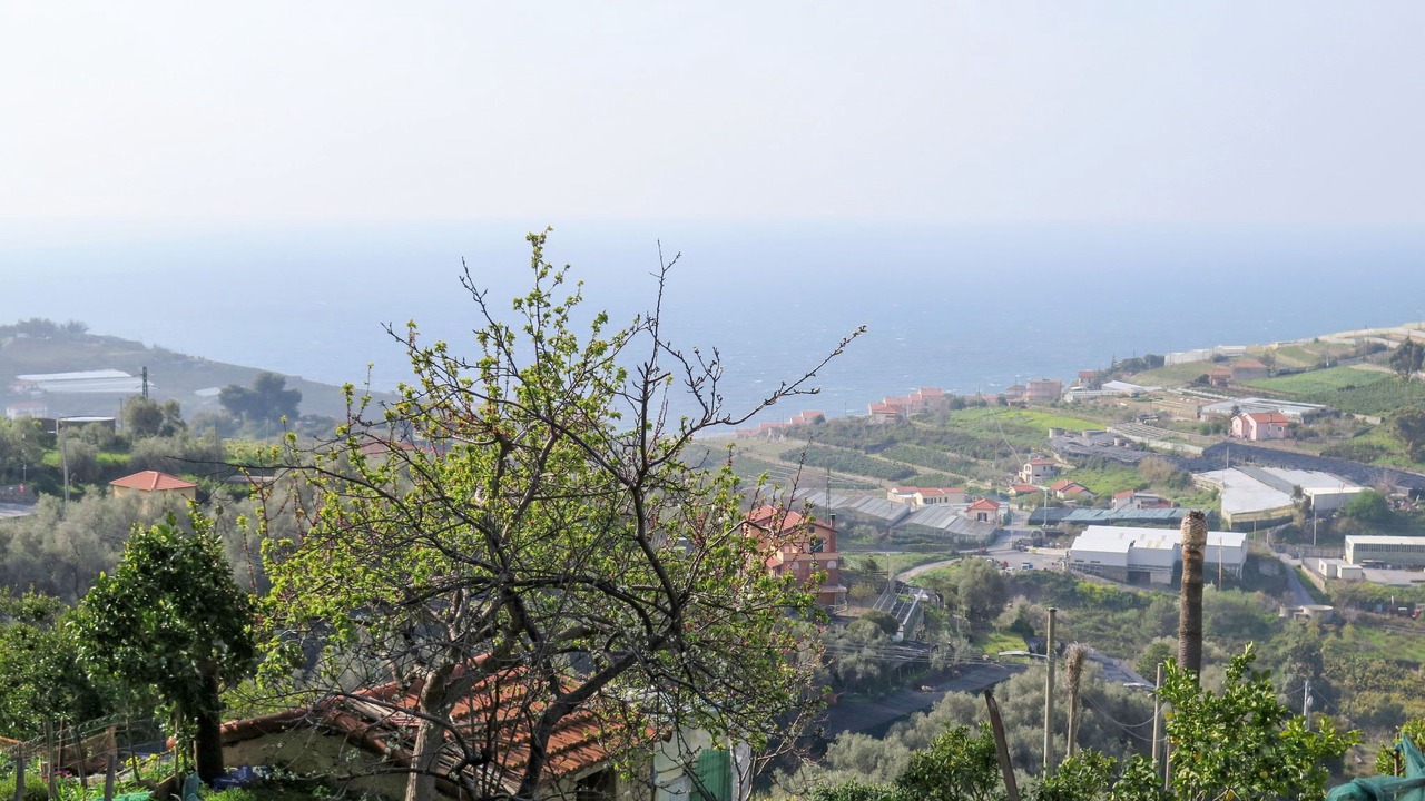 Photo of Others in Terzorio