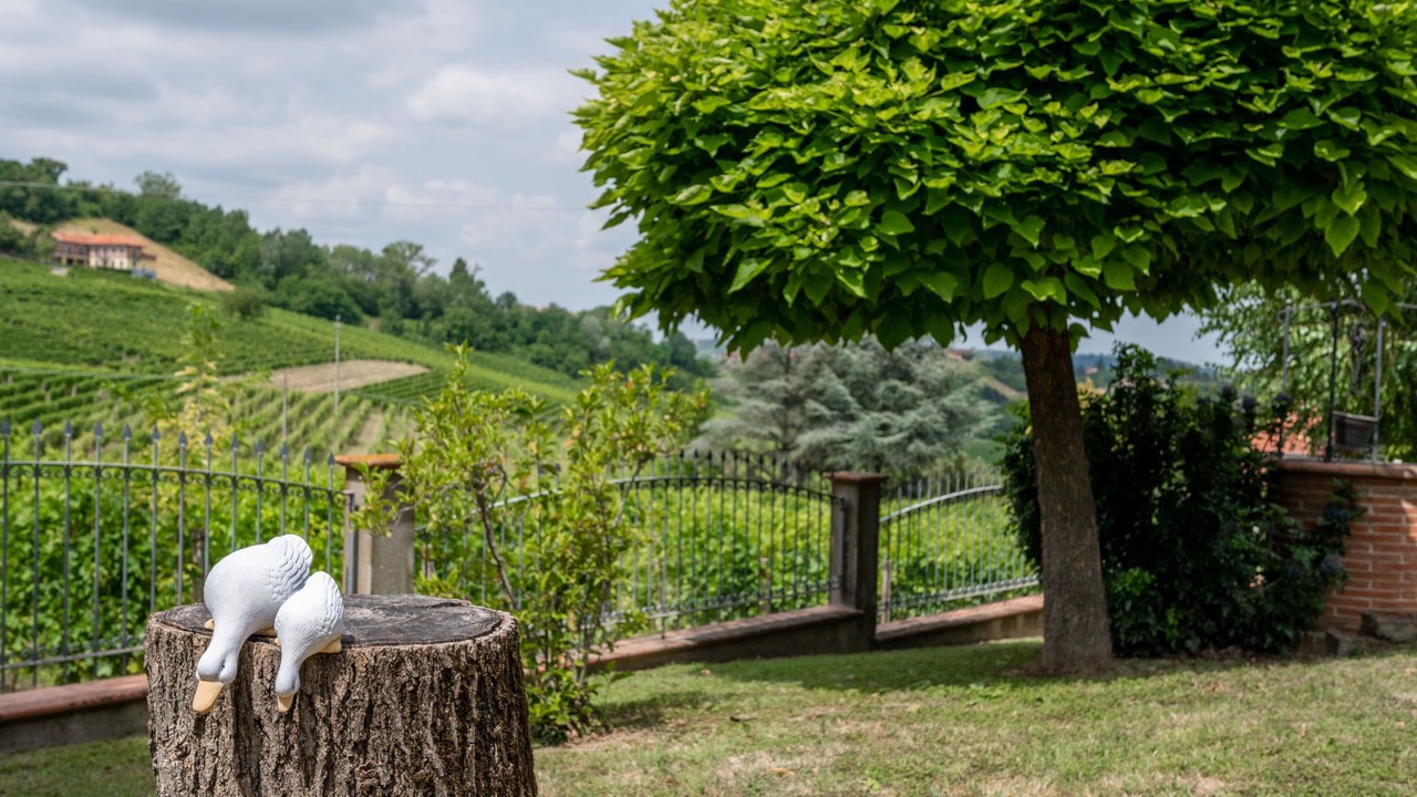 Photo of Outdoor in San Bovo