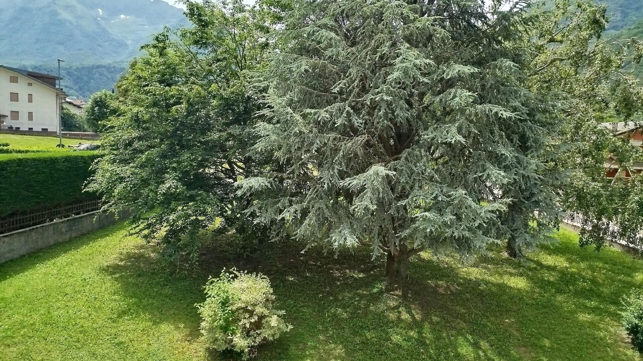 Photo of Outdoor in Entracque