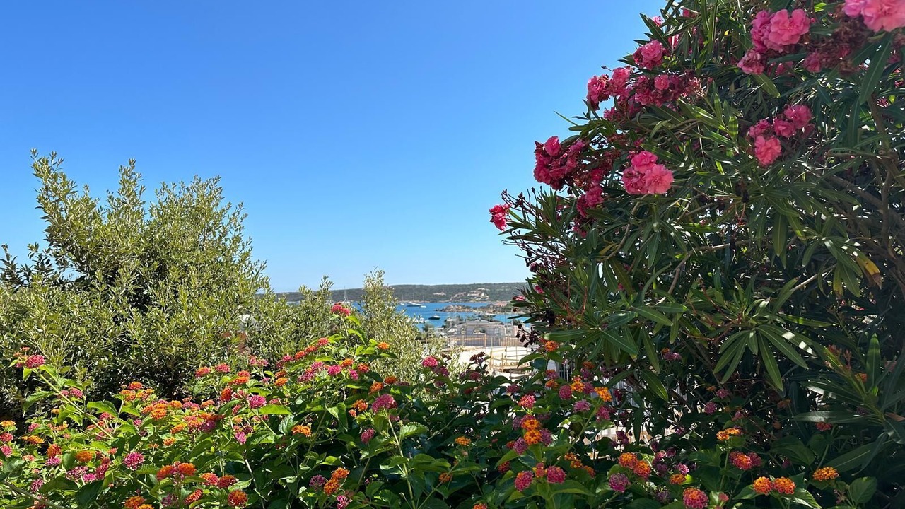 Photo of Outdoor in Liscia di Vacca