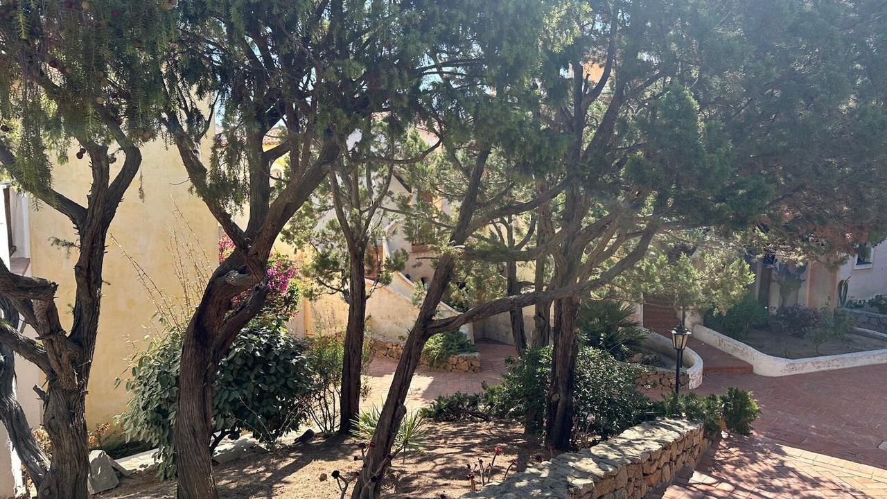 Photo of Outdoor in Liscia di Vacca