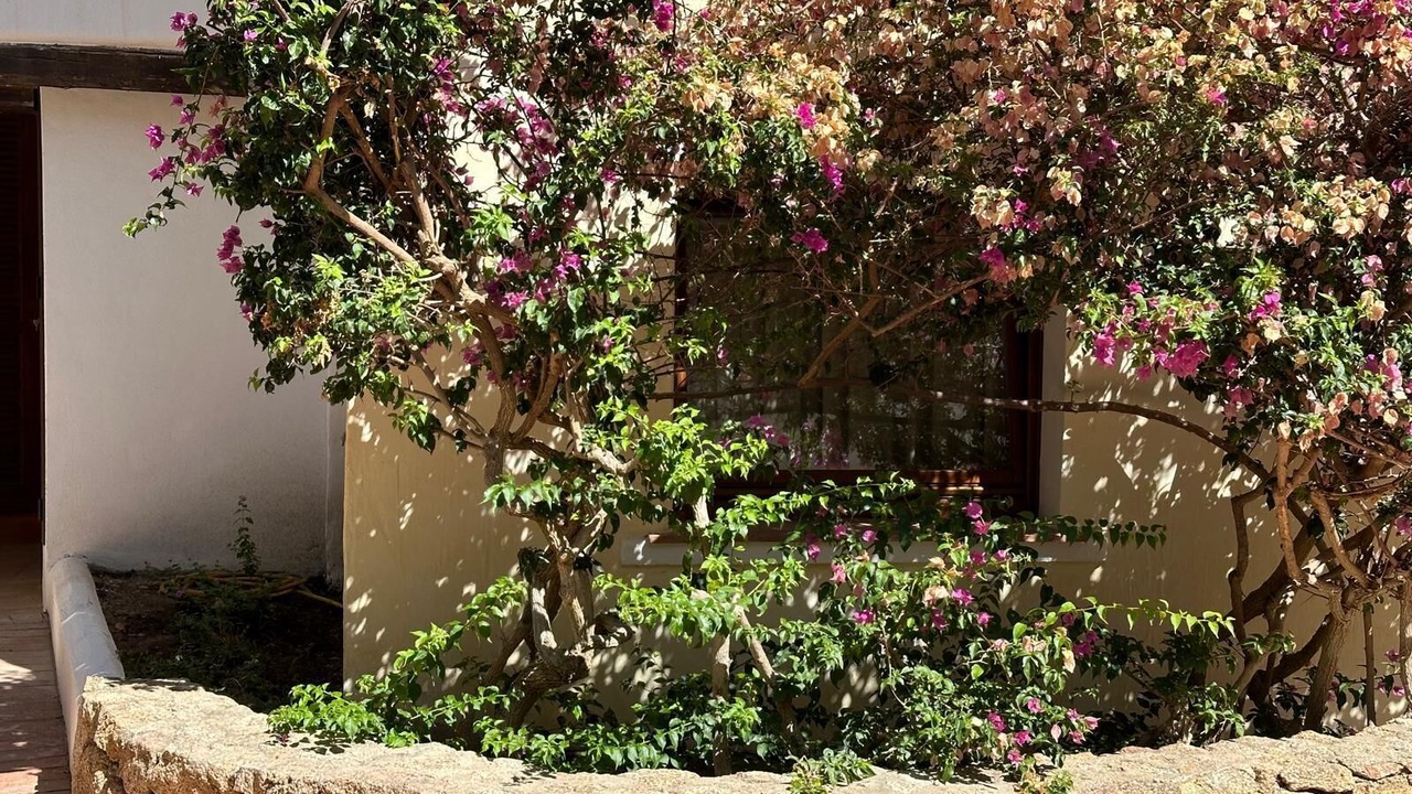 Photo of Outdoor in Liscia di Vacca