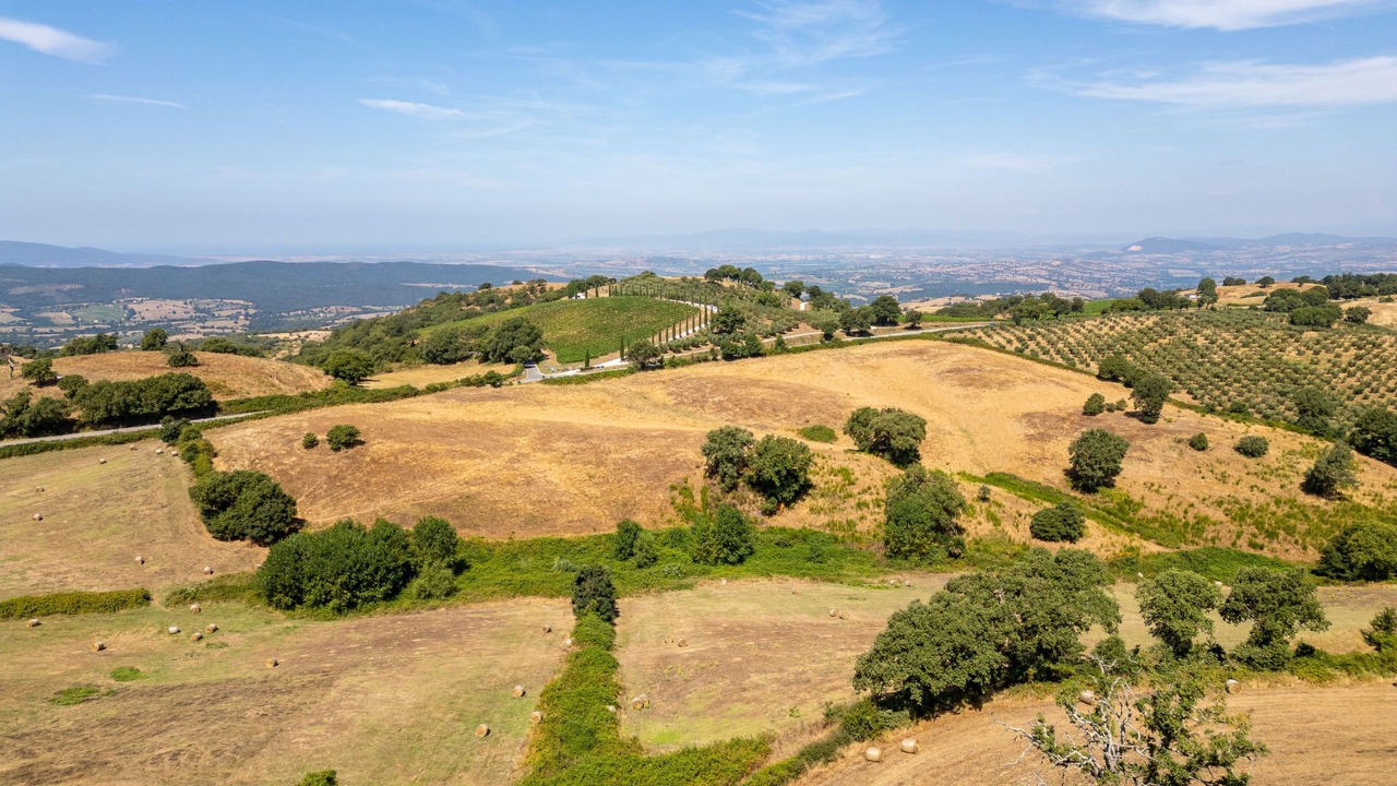 Photo of Others in Scansano